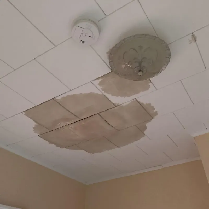 Ceiling Water Damage Repair in Richwood, WV