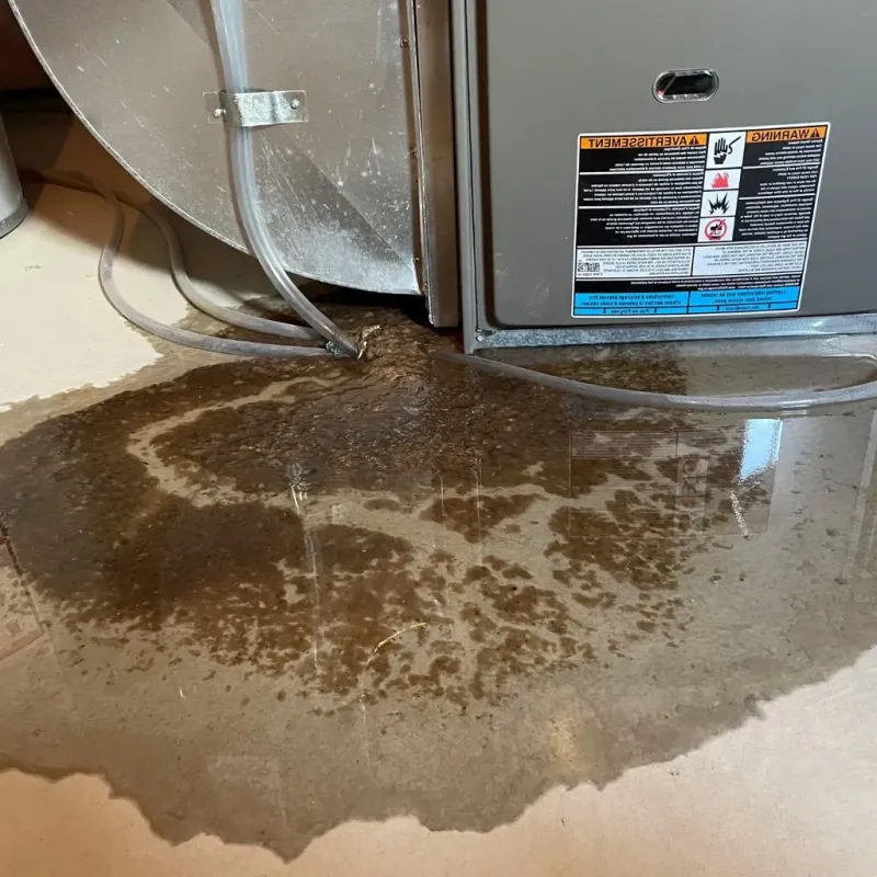 Pipe Burst and Leak Restoration in Richwood, WV