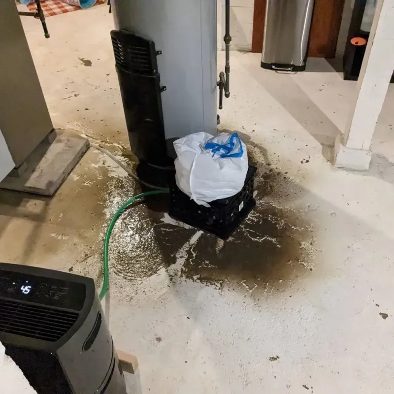 Sewage Backup Cleanup Service in Richwood, WV